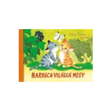 BARKÓCA VILÁGGÁ MEGY gyermek- és ifjúsági könyv
