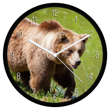  Barna medve falióra falióra