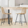  Bárszék 2 pcs Természetes 44,5 x 54,5 x 97,5 cm Rattan és Vas