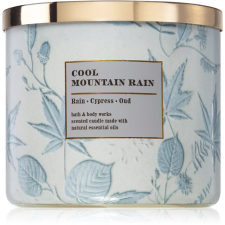 Bath & Body Works Cool Mountain Rain illatgyertya 411 g gyertya