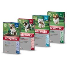 Bayer Advantix 40-60kg élősködő elleni készítmény kutyáknak