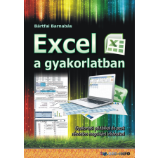 BBS-Info Excel a gyakorlatban egyéb e-könyv
