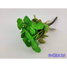  Békalencse gumis bokor 21 cm - Cirmos Zöld dekorációs kellék