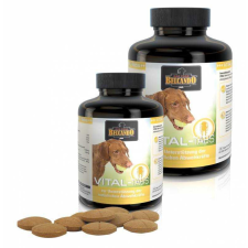 Belcando Vital 60 db tabletta vitamin, táplálékkiegészítő kutyáknak