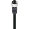 BELDEN 10973-1 Érzékelő-/működtető adatösszekötő, konfekcionált M12 Alj, egyenes 3.00 m Pólusszám: 5 1 db (10973-1)