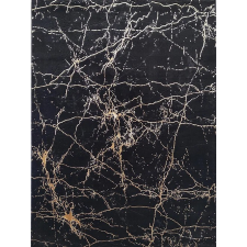 BER ELITE 4355 fekete arany 140 x 190 cm szőnyeg lakástextília
