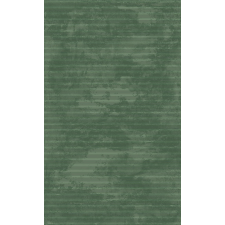 Berfin Ber. EFORIA 9551 zöld 80 x 150 cm modern szőnyeg lakástextília