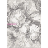 Berfin Ber. VERA 4441 bézs-szürke 60 x 100cm modern szőnyeg