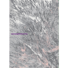 Berfin Ber Zara 9632 pink-szürke 160x220cm Szőnyeg lakástextília