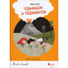 Berg Judit - Tökmagok a tűzhányón - Most én olvasok! 2. szint egyéb könyv