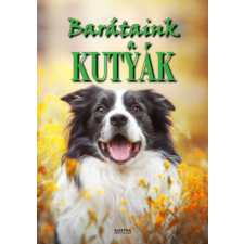 Bernáth István - Barátaink a kutyák egyéb könyv