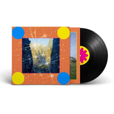 BERTUS HUNGARY KFT. Caribou - Honey (Vinyl LP (nagylemez)) elektronikus