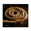 BERTUS HUNGARY KFT. Coil & Nine Inch Nails - Recoiled (CD)
