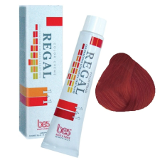 BES Regál Hajfesték 60ml 06 - Vörös hajfesték, színező