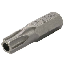 BGS Bitfej,  fúrt   T30     1/4" bitfej készlet