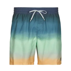 BILLABONG Fürdőruhák ALL DAY FADE LB Sokszínű EU M