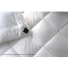 Billerbeck Billerbeck Charmant Uno paplan 200x220 cm