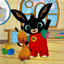  Bing Room kéztörlő, arctörlő, törölköző 30x30cm lakástextília