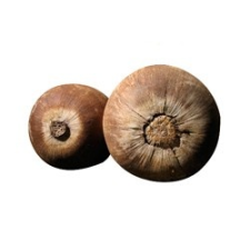  Bio babassuolaj vitamin és táplálékkiegészítő