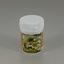  Bionit fagyöngy tabletta 90 db vitamin és táplálékkiegészítő
