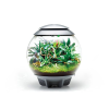  biOrb AIR 60 Szürke - dekorációs terrárium