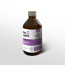 Biowen Life Spirit Bodorrózsa kivonatot tartalmazó folyékony étrendkiegészítő 250 ml vitamin és táplálékkiegészítő
