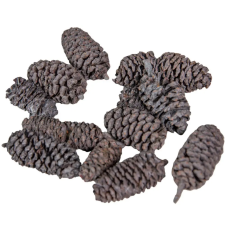  Birch pine havas szürke 21dkg/csomag dekorációs kellék