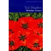  BIRTHDAY LETTERS – Ted Hughes
