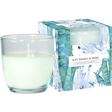 BISPOL finom vanília és pézsma 100 g gyertya