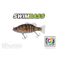  Biwaa Swimbass 6&quot; Slow Sink 15cm 65g 02 Real Perch wobbler csali