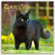  Black Cats - Schwarze Katzen 2026 - 16-Monatskalender naptár, kalendárium