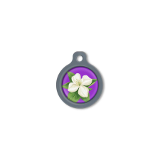 Blucky Jasmine Purple Dog Tag medium nyakörv, póráz, hám kutyáknak