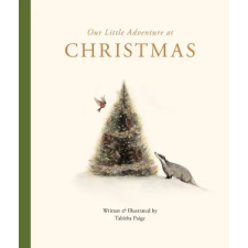 Blue Star Press Our Little Adventure at Christmas idegen nyelvű könyv