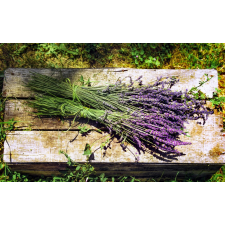  Blueback Mat Flori67 Tapéta, 200 x 255 cm tapéta, díszléc és más dekoráció