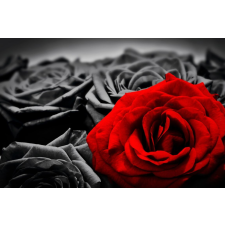  Blueback MAT fotótapéta, Piros rózsa, fekete rózsák, 250 x 200 cm tapéta, díszléc és más dekoráció