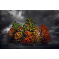  Blueback MAT fotótapéta, Színes folt, 250 x 200 cm tapéta, díszléc és más dekoráció