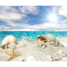  Blueback MAT fotótapéta, Tengerpart tengeri csillagokkal 2, 200 x 255 cm tapéta, díszléc és más dekoráció