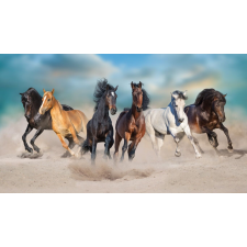 Blueback MAT, Fotótapéta Vágtató lovak porviharban, 350 x 200 cm tapéta, díszléc és más dekoráció
