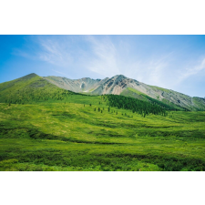  Blueback MAT Natura108 tapéta, 250 x 200 cm tapéta, díszléc és más dekoráció