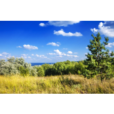  Blueback MAT Natura48 Fotótapéta, 250 x 200 cm tapéta, díszléc és más dekoráció