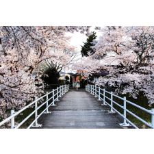  Blueback Mat Natura 91 tapéta, 250 x 200 cm tapéta, díszléc és más dekoráció