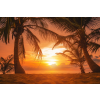  Blueback MAT Nyomtatott tapéta, pálmafák a naplementében, 300 x 200 cm