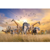  Blueback MAT "Állatok az afrikai szavannáról" fotótapéta, 300 x 200 cm
