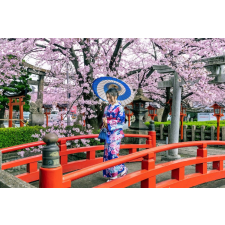  Blueback MAT Tapéta, ág virágzó cseresznyével, 300 x 200 cm tapéta, díszléc és más dekoráció