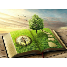  Blueback MAT Tapéta, Book of Time, 250 x 200 cm tapéta, díszléc és más dekoráció