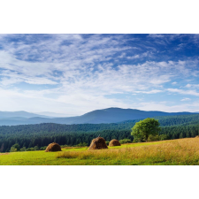  Blueback MAT tapéta, természet 149 modell, 250 x 200 cm tapéta, díszléc és más dekoráció