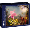 Bluebird Puzzle Bluebird 1000 Db-os Art By Puzzle - Martin Johnson Heade - Cattleya Orchid And Three Hummingbirds 1871 (60296) (3663384602962)