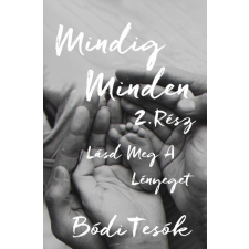 Bódi Tesók Kft. Lásd meg a lényeget - Mindig minden 2. regény