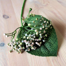  Bogyós szál, púder rózsaszín-fehér. Bogyók átmérője: 5mm, levél mérete. 100X150mm, teljes hossz: 290 mm dekorációs kellék