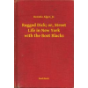 Booklassic Ragged Dick; or, Street Life in New York with the Boot Blacks